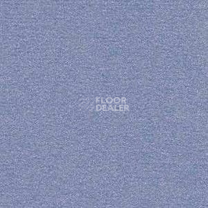Ковролин Radici Nexus Cielo 2411 фото 1 | FLOORDEALER